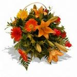 Flowers.co.za Fields Of Africa
