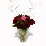 Flowers.co.za My Petal