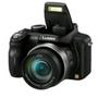 Panasonic Lumix DMC-FZ45