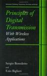Principles of Digital Transmission: With Wireless Applications (Information Technology: Transmission, Processing and Storage)