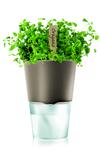 Eva Solo Flower pot