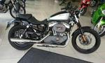 2010 Harley Davidson 1200C Sportster Custom