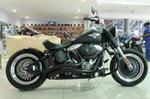 2010 Harley Davidson Fat Boy
