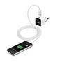 Capdase Power Kit II Atom
