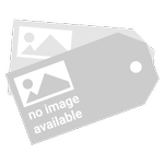 The 2009-2014 Outlook for Assembled and Ready-To-Assemble Non-Upholstered Cast and Wrought Iron Household Benches, Chairs, Chaise Lounges, Rockers, and Settees in India Icon Group International