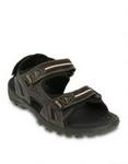 Rocky Ash Sandals  Brown