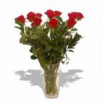12 Roses In A Vase