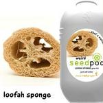 Touch Of Ginger Seedpod Loofah Sponge