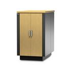 APC NetShelter CX 24U Enclosure