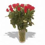 24 Roses In A Vase