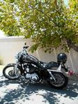 2005 Harley Davidson 1200C Sportster Custom