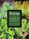Timber Press, Incorporated Ferns for American Gardens