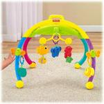 Fisher-Price Growing Baby Gym