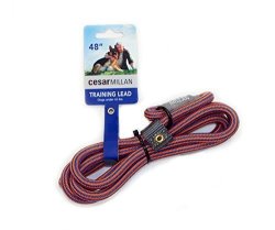 cesar millan slip lead leash