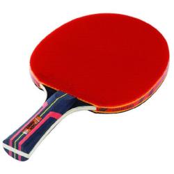 lion table tennis