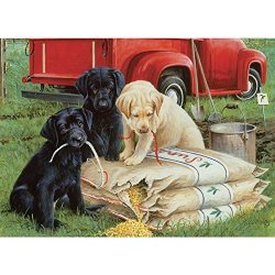 Willow Creek Press WC39781 Just Dogs Puzzle