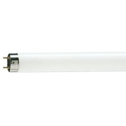 Actinic Tld Lamp T12 Bi Pin 36W