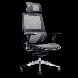 Wp Beta Ergonomic Home Office Chair