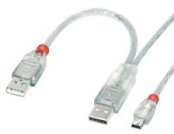 Lindy Usb Mini-b To 2 X Type-a Power Cable Usb 2.00.5msilver