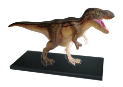 Animal Anatomy T-Rex