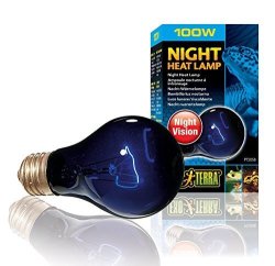 light bulb solar lights