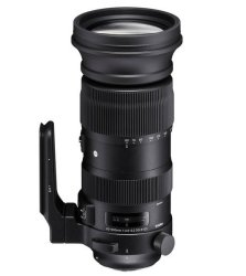 Sigma 60-600MM F4.5-6.3 Dg Os Hsm Sports For Canon Free Bean Bag