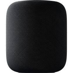 Apple Homepod Space Grey Special Import