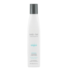 Scalp To Hair Energise Conditioner 250ML