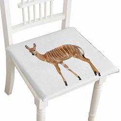 Huawuhome Chair Seat Pads Cushions Female Nyala Isolated On A White Square Car And Chair Cushion pad With Ties Soft For Indoors Or Outdoor 24"X24"X2PCS