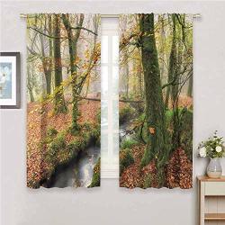 Hengshu Woodland Sliding Curtains For Bedroom Misty Autumn Woodland Stream At Golitha Falls On Bodmin Moor In Cornwall For Window Curtains Valances W52 X