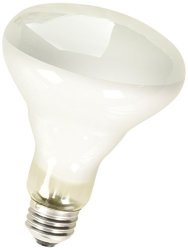 100 watt dimmable light bulbs