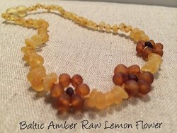 Raw Unpolished 13 Inch Baltic Amber Teething Necklace Teething And Growing Pain Cramps