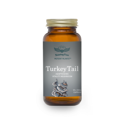 Turkey Tail Capsules 500MG