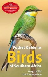 Pocket Guide To Birds Of Southern Africa paperback