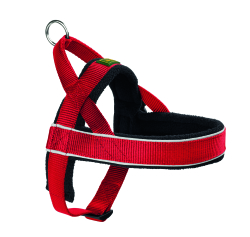 Harness Racing Red And Black - Xl 65-80 Cm