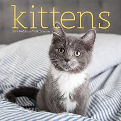 2019 Avalon Kittens Wall Calendar Kittens By Leap Year Publishing Llc