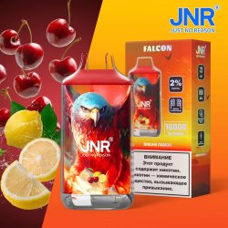 Jnr Vapor - Falcon Cherry Lemon 5% Nic 16000 Puff 10PCS