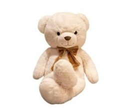 Inv Teddy Bear Soft Toys-white