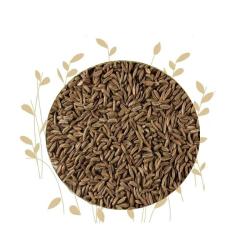 Dried Caraway Seed Carum Carvi - 100G