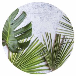 Palm Leaves Green Leaves On White Round Coaster