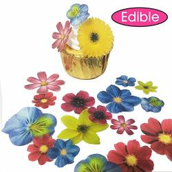 Chockacake 72X Edible Wafer Paper Flowers Assorted Sizes Design Shapes For Cake Toppers Decorating Blue Red Flower