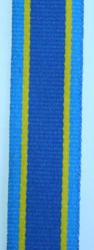 Sap 75th Anniversary Medal Miniature Ribbon