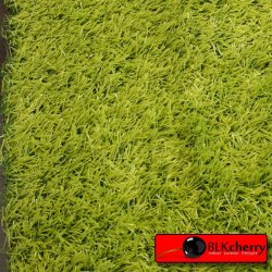 ArtIFicial Grass 20MM Length