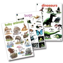Educa T Wall Chart 3 Pack Animal Collection