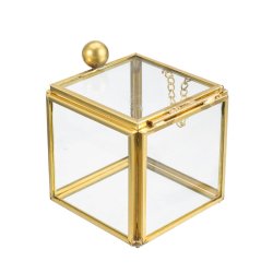 Square Glass Jewelry Box Vintage Wedding Favors Geometrical Clear Earring Ring Case Flower Succulent Plants Display Box