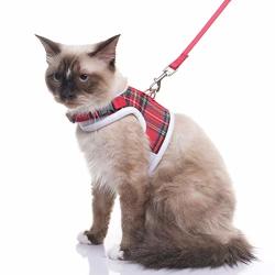 Expawlorer hotsell cat harness