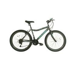 orion e bike