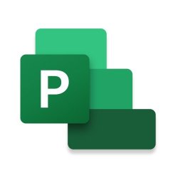 Microsoft Project Professional 2021- 1PC - Download