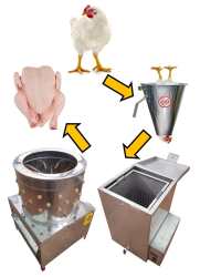 Surehatch Complete Poultry Processing Package