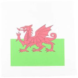 3DROSE APR_158289_2 Flag Of Wales Welsh Red Dragon On White & Green Y Ddraig Goch UK United Kingdom Great Britain Medium Length Apron 22